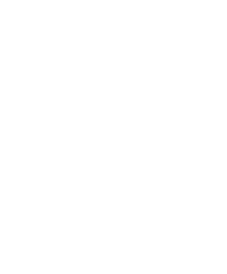 Shades Mountain Print Shop Squeegee Man Logo